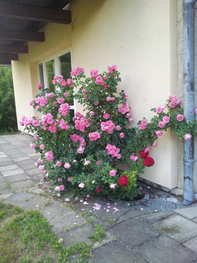 Ferienwohnung Am Spreeradweg Neusalza-Spremberg Εξωτερικό φωτογραφία